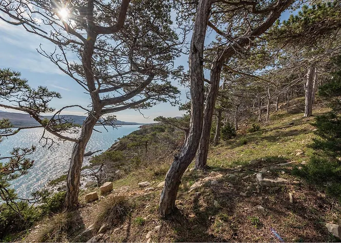 In With House Sea View Novalja